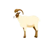 Goat, a herbivore