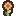 Wildflower, a plant